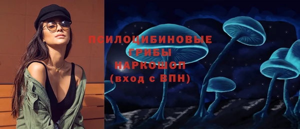 герыч Богородск