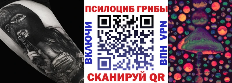 даркнет сайт  Норильск  Галлюциногенные грибы прущие грибы 
